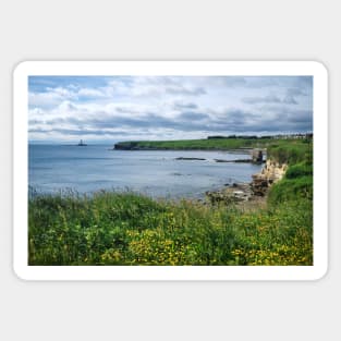 Looking South over Collywell Bay Sticker